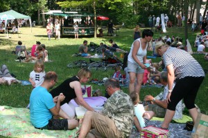 Picknickkonzert 2015 (11)