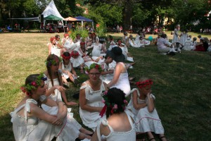 Picknickkonzert 2015 (13)