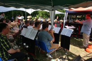 Picknickkonzert 2015 (17)