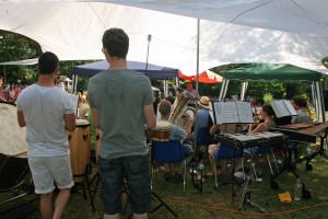 Picknickkonzert 2015 (18)