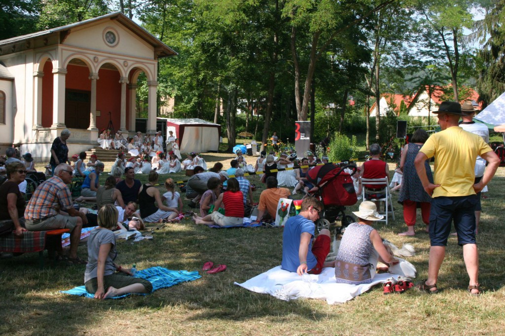 Picknickkonzert 2015 (3)