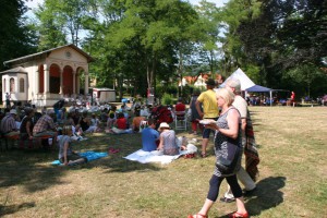 Picknickkonzert 2015 (4)