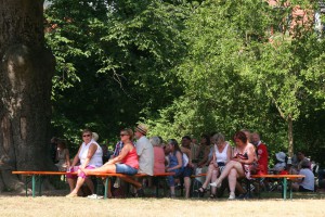 Picknickkonzert 2015 (5)