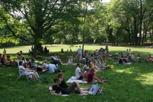 Picknickkonzert 2015 (7)