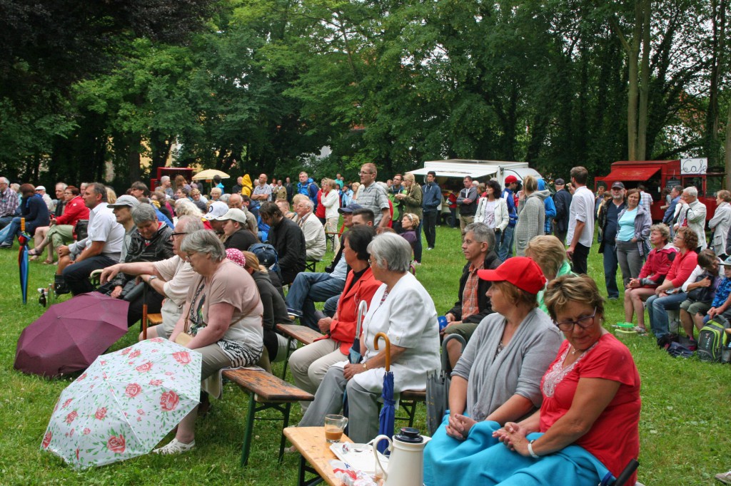 Picknick mit Konzert 2016 (7)