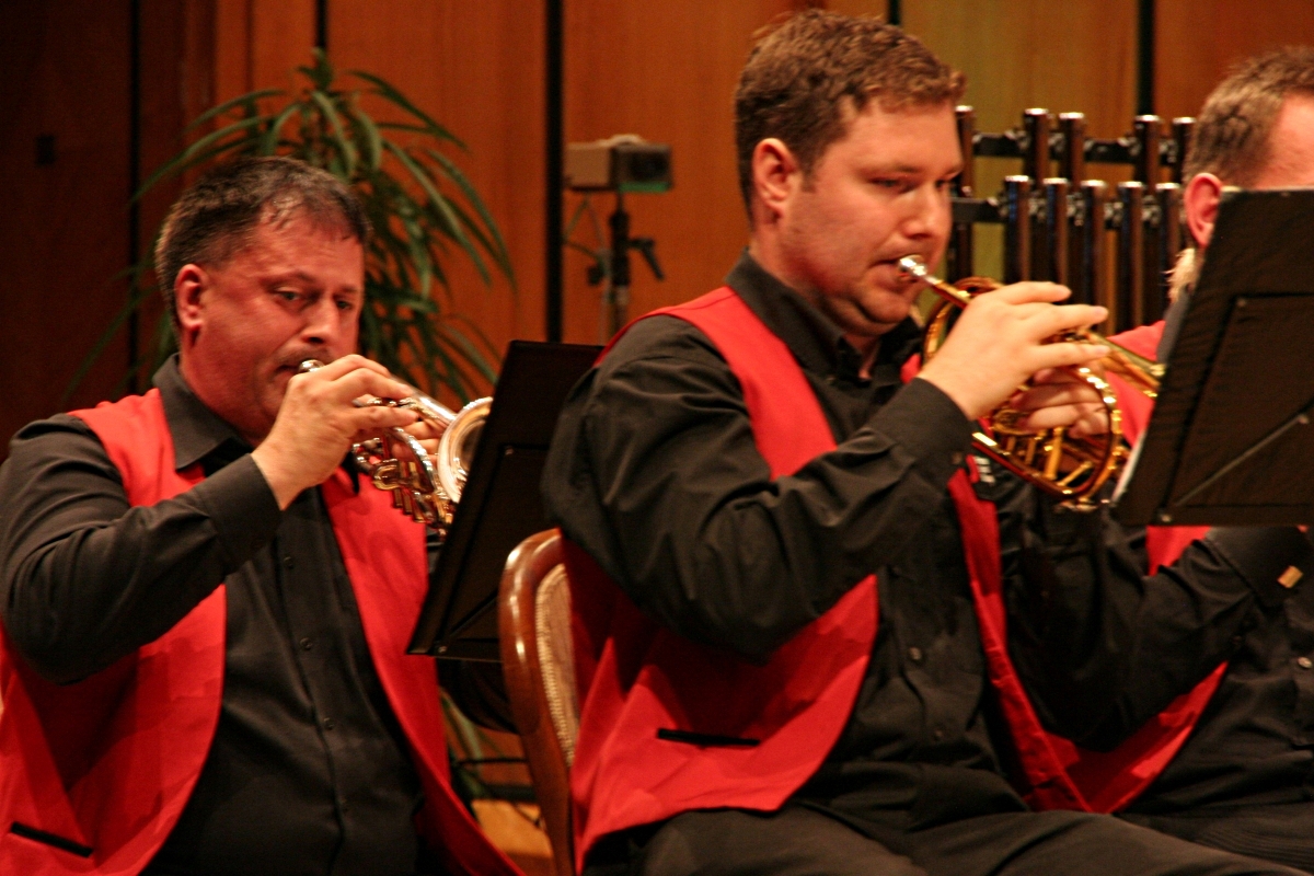 Deutsche Brass Band Meisterschaft 2014
